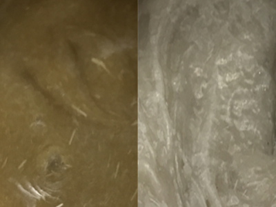 Characteristics of Calcium Sulphate Fiber (2)